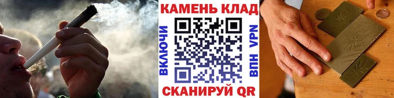 ГАШ Premium Новозыбков