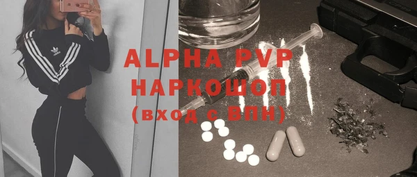 стаф Алексин