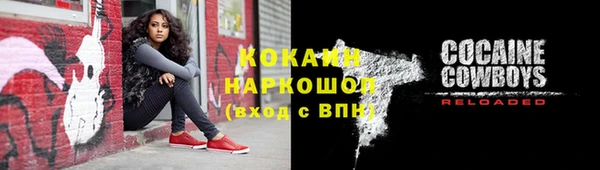 стаф Алексин