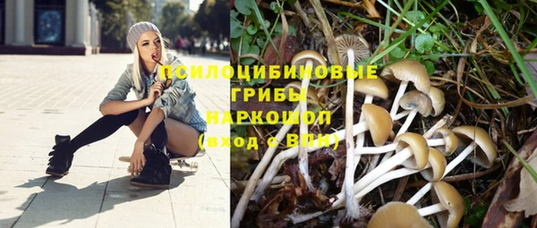 дживик Алексеевка