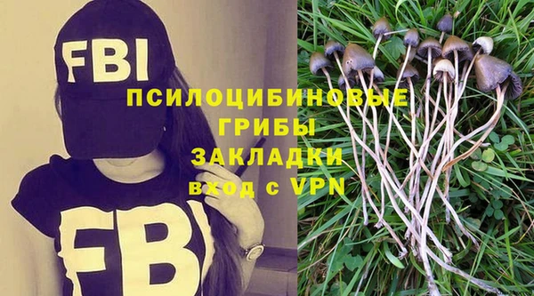 стаф Алексин