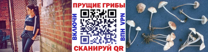 Псилоцибиновые грибы MAGIC MUSHROOMS  Новозыбков 